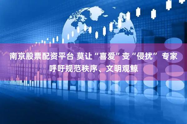 南京股票配资平台 莫让“喜爱”变“侵扰” 专家呼吁规范秩序、文明观鲸
